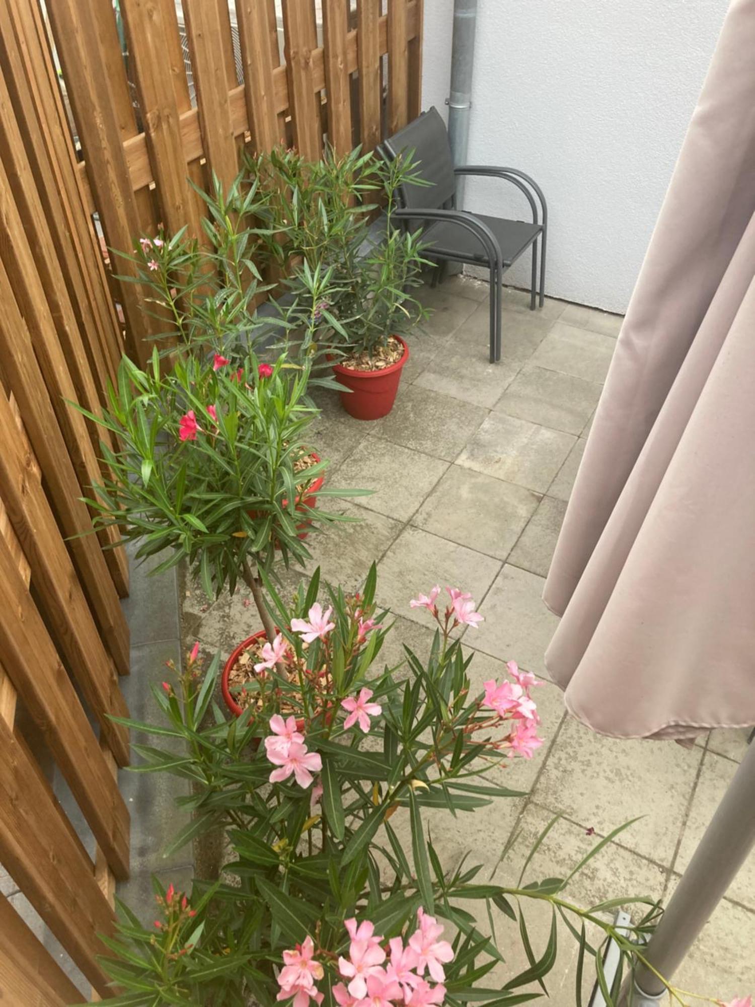 Villa Juste un rayon de soleil Saasenheim Exterior foto